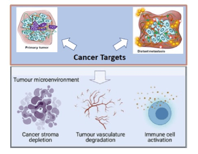 Innovative Technology & Therapeutic Target - Innova Therapeutics